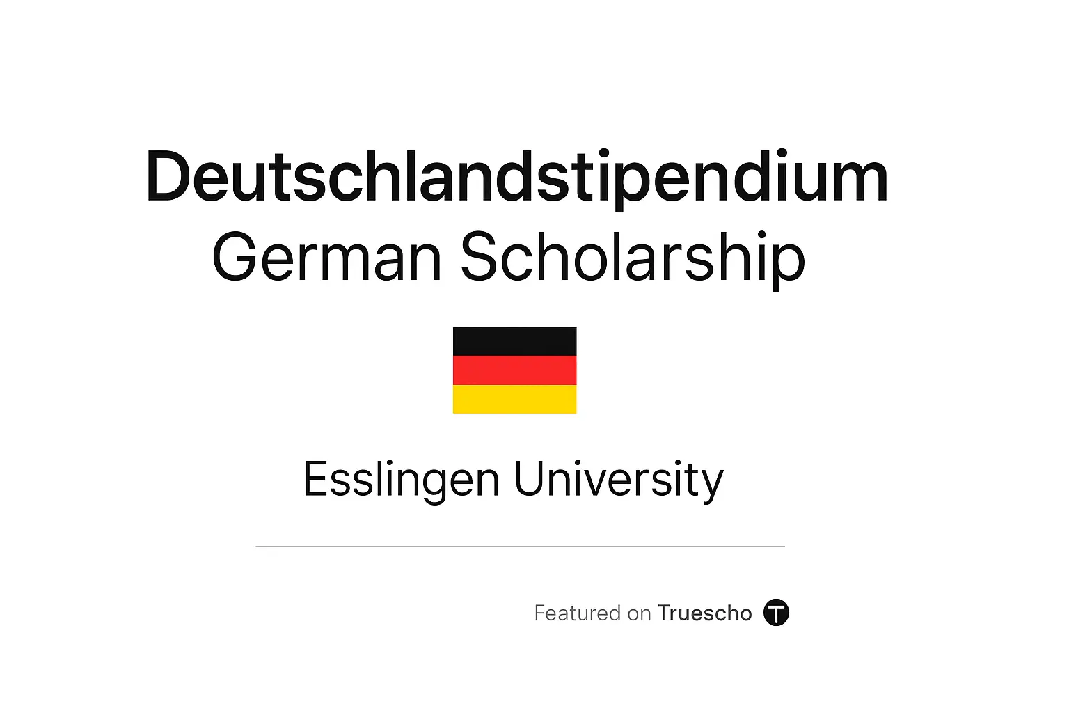 Deutschlandstipendium German Scholarships